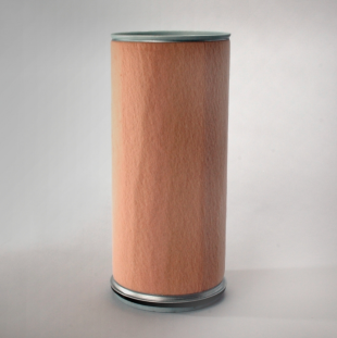 Donaldson Filtration P787247 AIR FILTER, SAFETY
