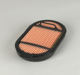 Donaldson Filtration P615493 AIR FILTER, SAFETY OBROUND