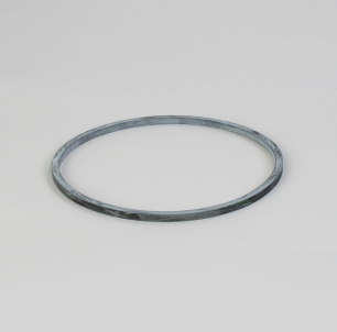 Donaldson Filtration P167575 GASKET