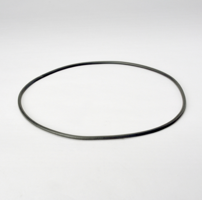 Donaldson Filtration P017336.O-RING